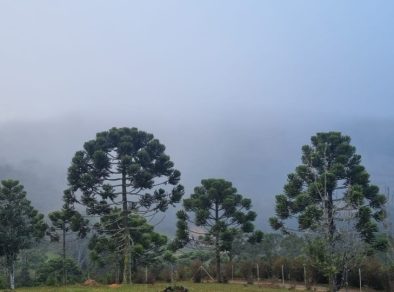 Com 2.7ºC, Campos do Jordão bate recorde de frio no estado de SP 