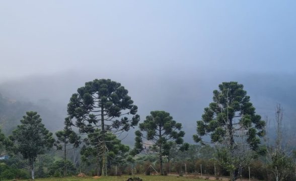 Com 2.7ºC, Campos do Jordão bate recorde de frio no estado de SP 