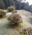 Campos do Jordão registra 1,2°C e bate novo recorde de frio…