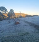 Campos do Jordão registra 0,5ºC – a menor temperatura do ano…