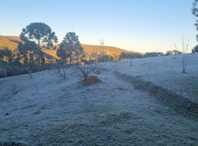 Campos do Jordão registra 0,5ºC – a menor temperatura do ano  
