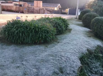 Campos do Jordão registra 1,3°C e bate novo recorde de frio no ano 