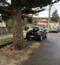 Projeto de Lei que utiliza estacionamentos para plantio de árvores é…