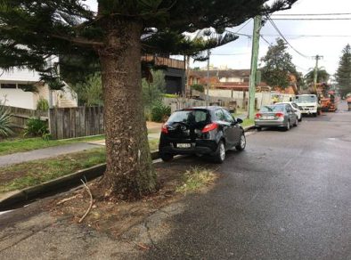 Projeto de Lei que utiliza estacionamentos para plantio de árvores é aprovado em SJCampos