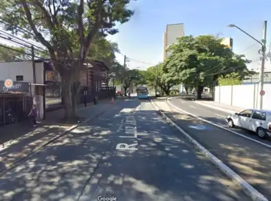 Prefeitura interdita rua no centro para retirada de árvore no domingo (15)