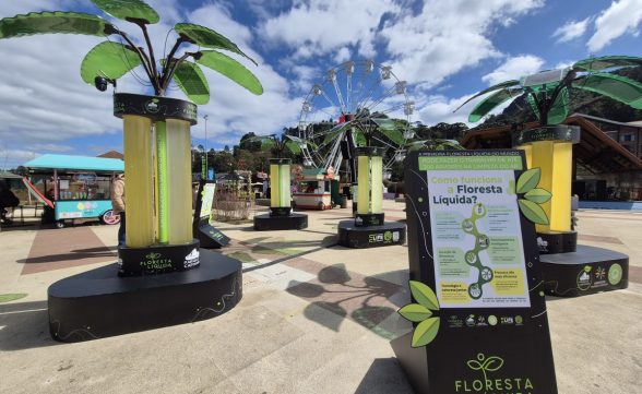 Parque Capivari inaugura a primeira floresta líquida do Brasil capaz de purificar o ar como 200 árvores