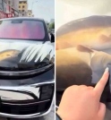 Homem transforma capô de carro em aquário com peixes vivos na…