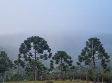 Campos do Jordão registra 0,4 °C nesta quarta (30) e bate novo recorde de frio