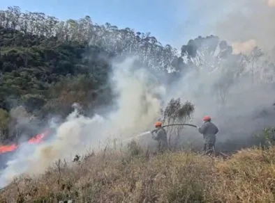 Incêndio atinge área de 180 mil metros quadrados em São Luiz do Paraitinga