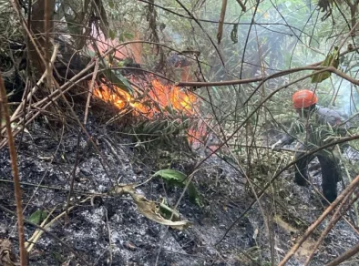 Após três dias, bombeiros encerram o combate ao incêndio no morro em Caraguatatuba