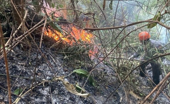 Após três dias, bombeiros encerram o combate ao incêndio no morro em Caraguatatuba