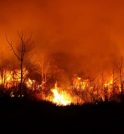 Vale do Paraíba entra em estado de alerta para risco de…