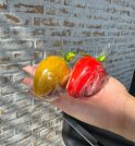 Trend do “morango do amor” dispara preço da fruta no Vale…