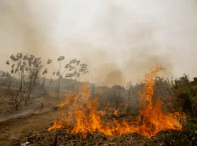 Tempo seco e risco de queimadas aumentam no Vale do Paraíba, alerta Defesa Civil
