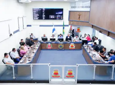 Comissões da Câmara de Caraguatatuba atuam no acompanhamento de setores municipais no primeiro semestre de 2025