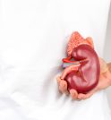 Doença renal crônica e diabetes tipo 2: entenda a relação e…