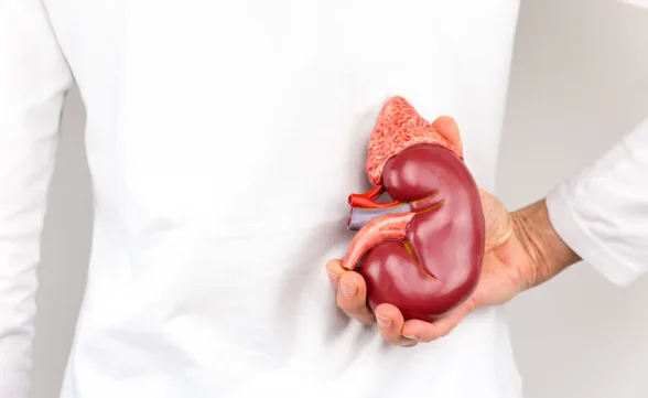 Doença renal crônica e diabetes tipo 2: entenda a relação e como buscar tratamento