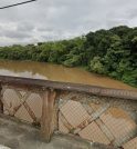 Corpo em decomposição é encontrado no Rio Paraíba em Cachoeira Paulista
