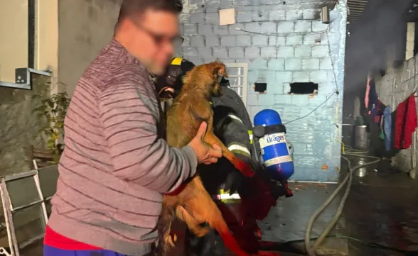 Bombeiros resgatam oito cães de incêndio em casa na Zona Oeste de São José