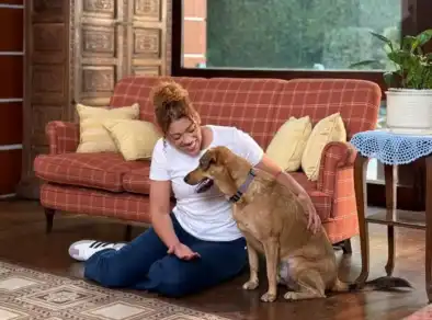 “Patinhas do Destino”: Cães e gatos estrelam a primeiro novela pet do Brasil