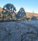 Campos do Jordão registra sensação térmica de 1,3°C e amanhece coberta…