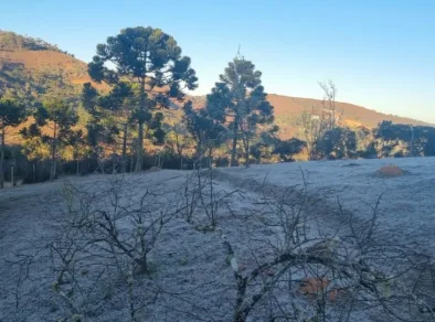 Campos do Jordão registra sensação térmica de 1,3°C e amanhece coberta de gelo