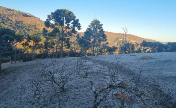 Campos do Jordão registra sensação térmica de 1,3°C e amanhece coberta de gelo