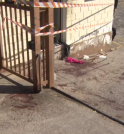 Mulher é atacada com golpes de tesoura pelo ex-marido em São…