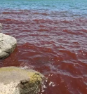 Mar da Galileia “sangra” e assusta moradores