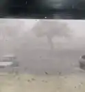 Rajadas de vento atingem São José na tarde desta segunda (22);…