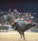 “Taubaté Expo Rodeo” volta à cidade após 18 anos com grandes…