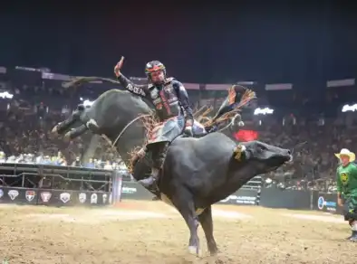 “Taubaté Expo Rodeo” volta à cidade após 18 anos com grandes shows