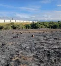 Área de 100 mil metros quadrados de mata é atingida por…