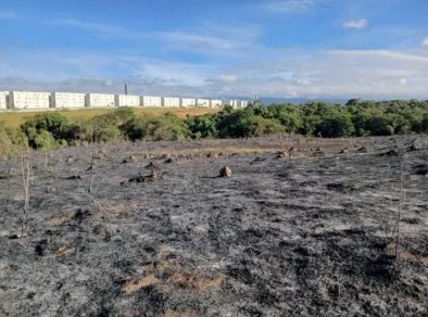 Área de 100 mil metros quadrados de mata é atingida por incêndio em Taubaté