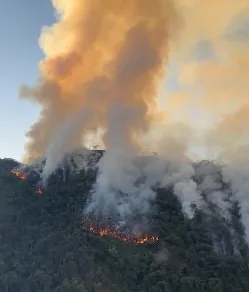 Incêndio em área de preservação consome mais de 250 mil m² em Cruzeiro