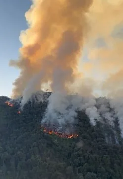Incêndio em área de preservação consome mais de 250 mil m² em Cruzeiro