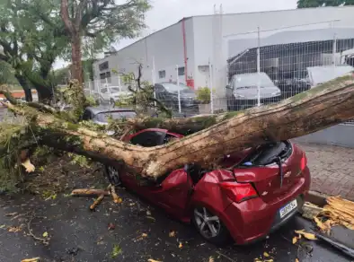 Árvore atinge carro do Jd. Augusta em São José dos Campos
