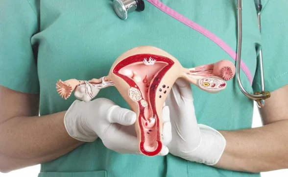 Setembro em Flor: Campanha alerta para baixa cobertura vacinal contra o HPV no Brasil