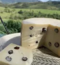 Vale tem queijo com içá premiado