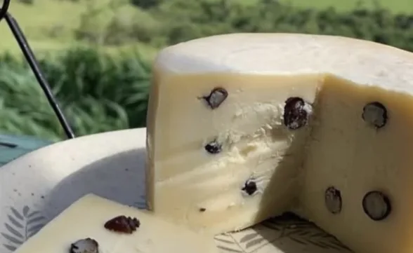 Vale tem queijo com içá premiado