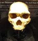 Mistério na Grécia: crânio de 300 mil anos encontrado não era…