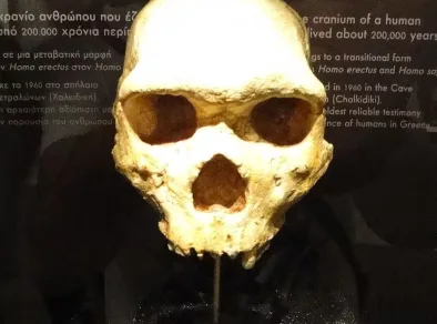 Mistério na Grécia: crânio de 300 mil anos encontrado não era de humano nem neandertal