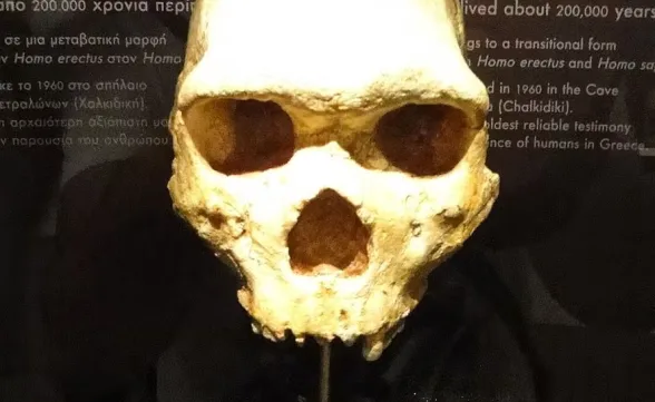 Mistério na Grécia: crânio de 300 mil anos encontrado não era de humano nem neandertal