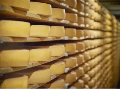 Vale do Paraíba e Serra da Mantiqueira ganham 12 destinos na Rota do Queijo