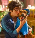 Filme “Caramelo”, da Netflix, aumenta buscas sobre adoção de animais no…