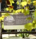 Vereadores de São José dos Campos aprovam concessão de parque na…