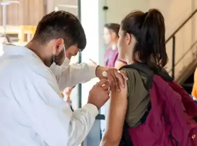 Vai para a romaria? Veja os principais  cuidados contra a febre amarela