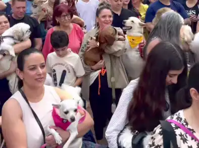 Fieis levam animais para bênção no Dia de São Francisco