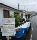 Caraguatatuba reforça arborização urbana com plantio de árvores nativas