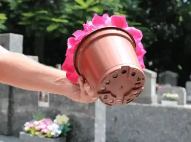 Vai no cemitério? Veja dicas para evitar criadouros da Dengue